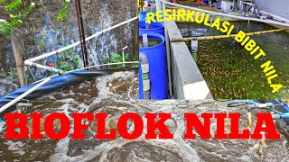 Bioflok Nila dan Resirkulasi RAS Larva sampai Bibit Nila [upl. by Slin]