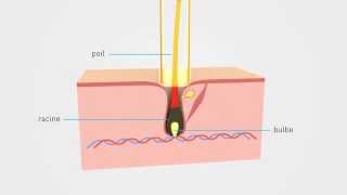 Epilium Epilation Laser  Principe et explication [upl. by Spear27]