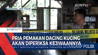 Polisi Tangkap Pria Pemakan Daging Kucing [upl. by Kulseth511]