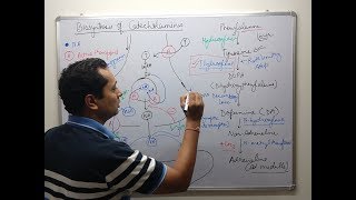 Adrenergic Pharmacology Part 1 [upl. by Gleich]