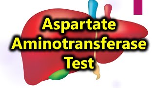 AST test  Aspartate aminotransferase test  liver function test [upl. by Kalam]