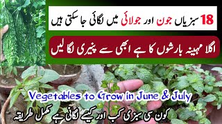 Grow These Vegetables Till August Start  Vegetables to Grow In June And July  Gardening [upl. by Thirzia]