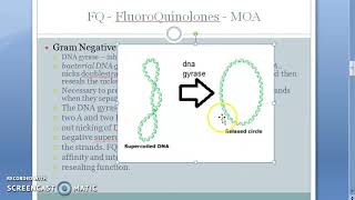 Pharmacology 707 b FluoroQuinolones Mechanism Of Action Quinolones DNA Gyrase inhibitor supercoil [upl. by Eerehs38]