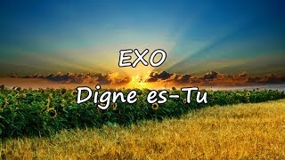 EXO  Digne es tu avec paroles [upl. by Darom729]