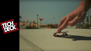 Tech Deck Longboards [upl. by Swor]