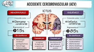 ACCIDENTE CEREBROVASCULAR  Ciencias Básicas [upl. by Rehpinnej]