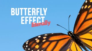 The Butterfly Effect Literally [upl. by Erdnoed261]