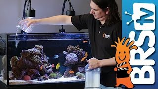 How to Make Reef Tank 2Part Dosing Smarter Safer and More Reliable  Neptune Apex Setup Guide [upl. by Gavrilla]