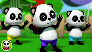 Ringa Ringa Rosas Músicas Divertidas e Desenhos Animados  Baby Bao Panda [upl. by Tiertza]