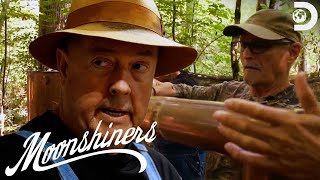 Judges Amazed By Signature Cinnamon Gin shorts moonshiners [upl. by Hilarius]