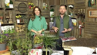 You Garden Live Shopping  Thursday 8th February 1000 [upl. by Kennan]