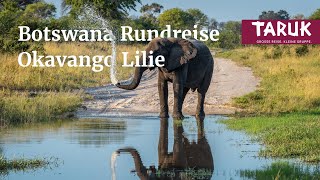 BotswanaRundreise Okavango Lilie – Safaris im Okavango Delta Caprivi amp Chobe erleben  Filmbuch [upl. by Rothenberg]