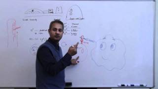 Immunology Neutrophil Lecture 3 Part 9 [upl. by Tung]