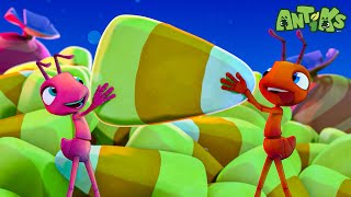 Halloween Candy  Antiks  Funny Halloween Cartoons For Kids [upl. by Strage996]