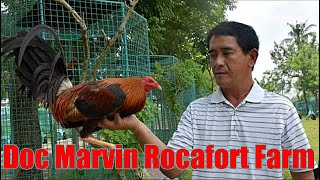 Lets Visit The Farm Of Doc Marvin Rocafort [upl. by Radferd798]