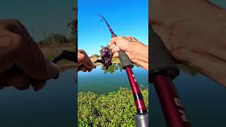 Fishing Lake Almaden FishingfishingvideobassbassfishingsanjoselakelakefishingLewsKVD [upl. by Nottus]