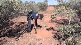 Gold Prospecting Cue WA [upl. by Perkins]