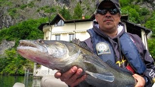 Rapture Lures  Pesca con la gomma  Soft Lures x Zander [upl. by Farnsworth]