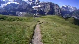 Lauberhorn Abfahrt wmv [upl. by Qifar]