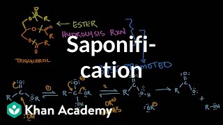 Saponification  Base promoted ester hydrolysis  MCAT  Khan Academy [upl. by Cates]