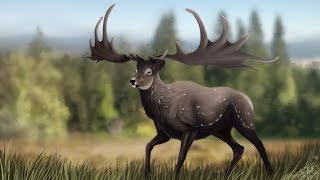 Megaloceros  The Grand Deer [upl. by Shetrit]