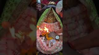 🙏🏻aaj subha ke aarti darshan 🙏🏻2182024🛕🚩🌺🪔🪷🐅💫🌍🔱🛕🏵️🌷💐☘️🥥🕉️🧿🤞🏻🙏🏻🙏🏻🌺🌸🌼👣🙇🏻‍♀️subscribe like vlog [upl. by Chanda]