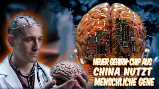 GehirnRevolution Neuer GehirnChip aus China nutzt menschliche Gene 🧠🚀 [upl. by Notlil616]