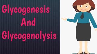 Glycogenesis And Glycogenolysis  PPT Glycogenesis Vs Glycogenolysis [upl. by Aneeras]