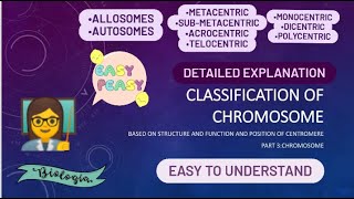 classification of chromosomes  types of chromosomes  based on functioncentromere numberposition [upl. by Akinorev583]