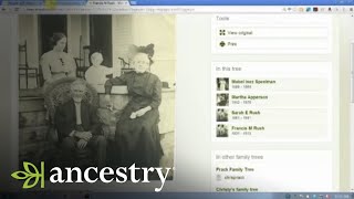 Ancestrycom Online Family Trees Photo Comments and Other Collaboration Tools  Ancestry [upl. by Yrakaz]