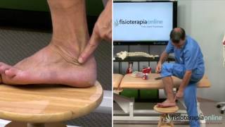 Tratamiento de la tendinitis de los peroneos  Fisioterapia Bilbao [upl. by Atirys]