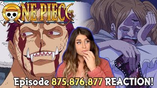 FAREWELL One Piece Episode 875 876 877 REACTION [upl. by Airotna202]