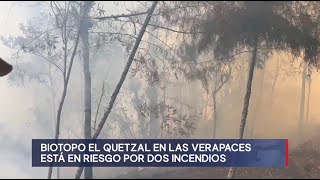 Fuego arrasa con cientos de hectáreas en el Biotopo del Quetzal en las verapaces [upl. by Orat]