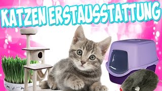 KatzenErstausstattung  Die richtige Erstausstattung für die Katze bzw Kitten [upl. by Atcele25]