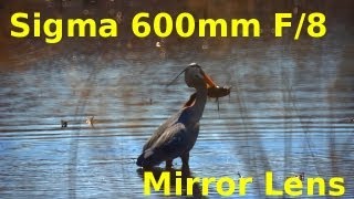 Sigma 600mm f8 Mirror Lens [upl. by Werna]