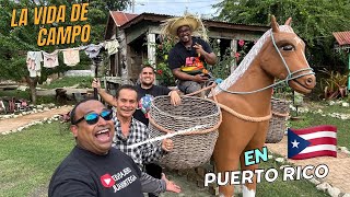 Mostrando La Vida En el Campo en Puerto rico 🇵🇷  elcowboytv [upl. by Livvyy576]