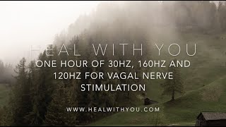 One Hour Solfeggio Frequencies For Vagal Nerve Stimulation  30Hz 160Hz and 120Hz [upl. by Odlopoel203]