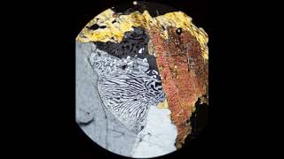 Myrmekite tutorial Optical mineralogy [upl. by Waterman]