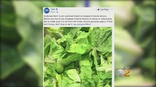 60 People Sickened In 16 States From Bad Lettuce [upl. by Alejoa779]