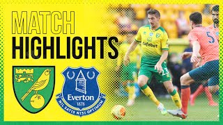 HIGHLIGHTS  Norwich City 01 Everton [upl. by Dirraj974]