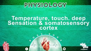 Revision of L5 temperature Touch Deep sensations and somatosensory cortex  physiology [upl. by Winfield167]