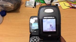 Radios Nextel i560 MotoTalk DirecTalk walkietalkie [upl. by Anoirb237]