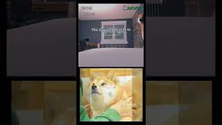 Doge Dog Died  good night Kabosu sad rip doge kabosu memes [upl. by Emelda]