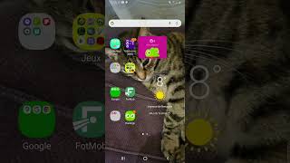 Tuto pour enlever des notification snap [upl. by Eirased]