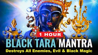 Black Tara Mantra Tara 7 1 Hour Destroys All Enemies Evil and Black Magic Supreme Protection [upl. by Marsiella608]