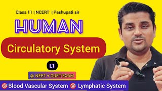 L1 Human Circulatory System  Class 11 NCERT  NEET amp CUET EXAMS  Pashupati Sir [upl. by Wu]