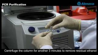 PCR Purification [upl. by Nasus]