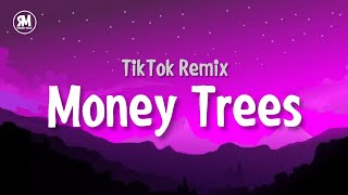 Money Trees TikTok Remix [upl. by Odlonra]