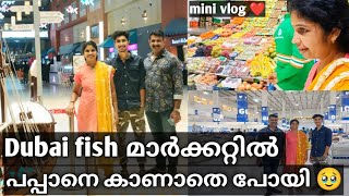 Dubai Fish മാർക്കറ്റിൽ പപ്പാനെ കാണാതെ പോയി 🥹🥹 [upl. by Pembrook]