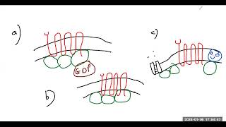 مستقبلات الخلية Cell receptors Ligandgated ion channel receptorampGproteincoupled receptorsGPCRs [upl. by Carlin]